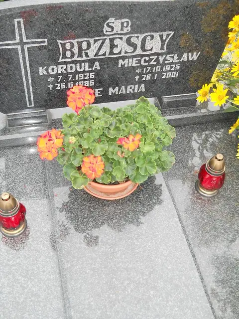 Zdjęcie grobu 27/23205