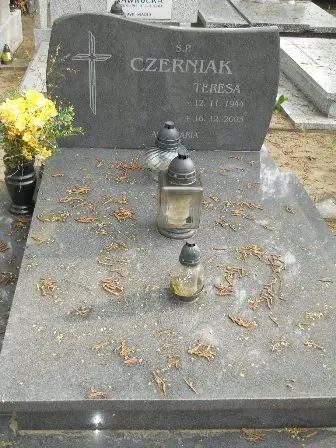 Zdjęcie grobu 33/256,256a