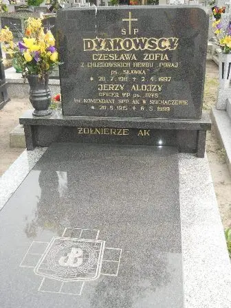 Zdjęcie grobu 22/109