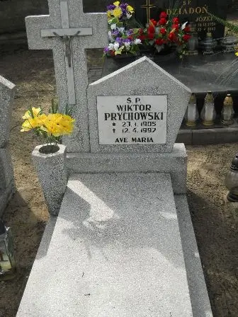 Zdjęcie grobu 27/100