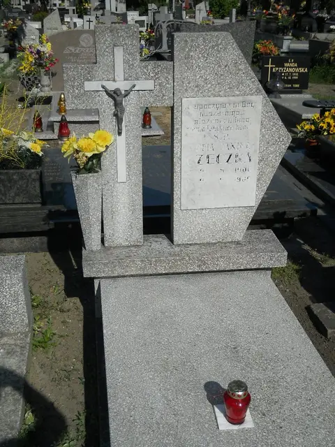 Zdjęcie grobu 7/11993