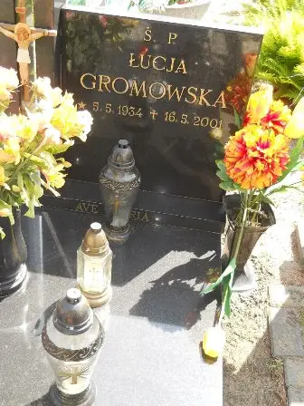 Zdjęcie grobu 25/271