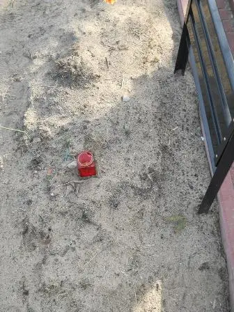 Zdjęcie grobu 100/100