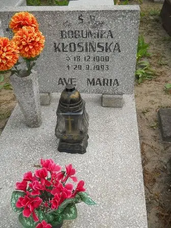 Zdjęcie grobu 22/100
