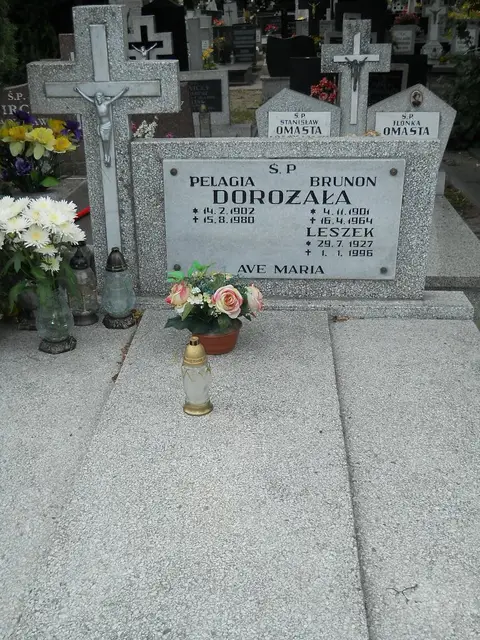 Zdjęcie grobu 9/24485