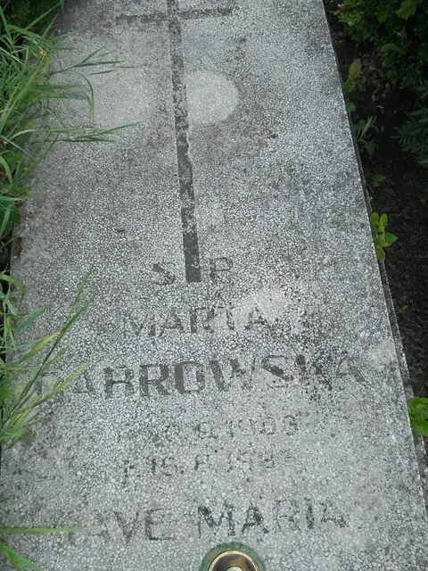 Zdjęcie grobu 26/22821