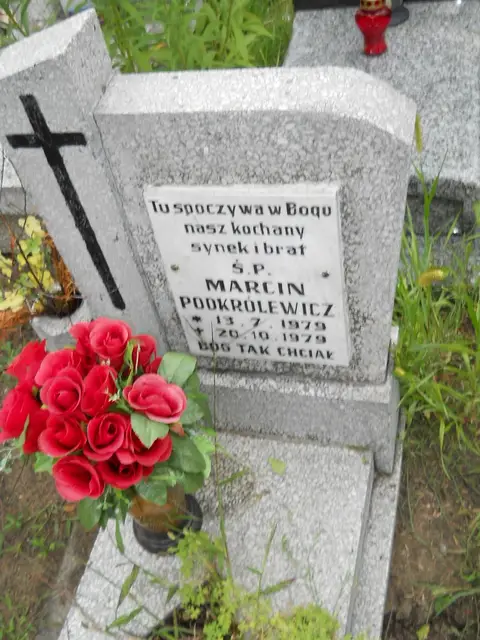 Zdjęcie grobu 21/23849