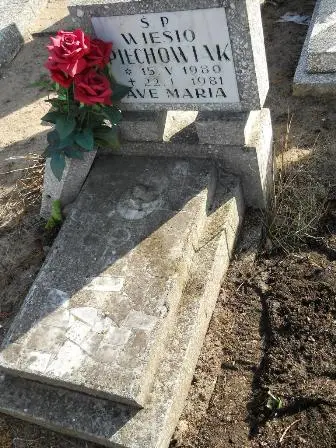 Zdjęcie grobu 100/100