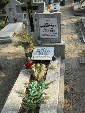 Zdjęcie grobu 9a/12