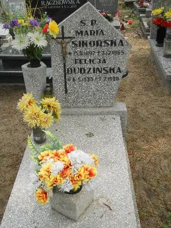 Zdjęcie grobu 33/101