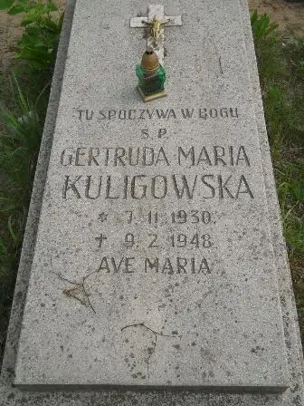 Zdjęcie grobu 22/134