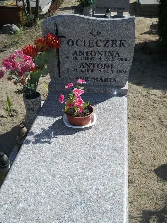 Zdjęcie grobu 46/94