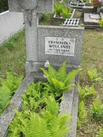 Zdjęcie grobu 40/122