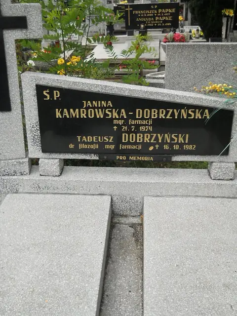 Zdjęcie grobu 5/22599