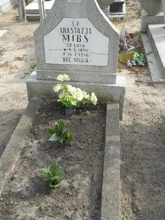 Zdjęcie grobu 22/79