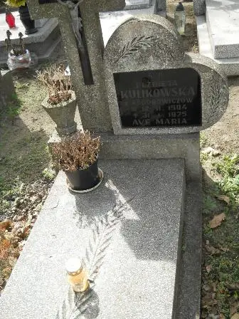 Zdjęcie grobu 27/100