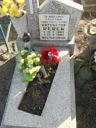 Zdjęcie grobu 6/731
