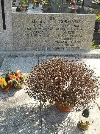 Zdjęcie grobu Krzyżowy/50,51,51a