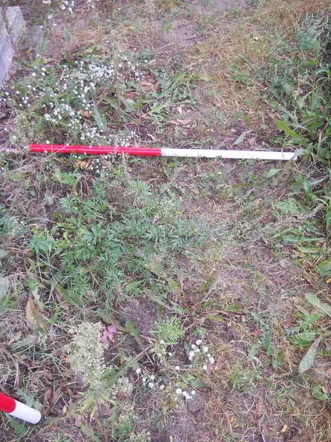 Zdjęcie grobu 14/26058