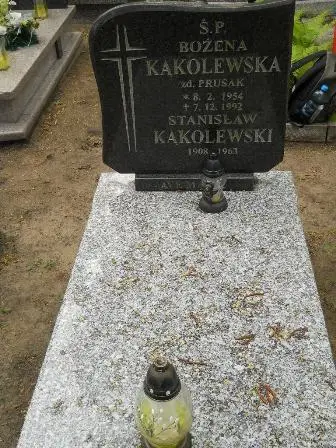 Zdjęcie grobu 32/100