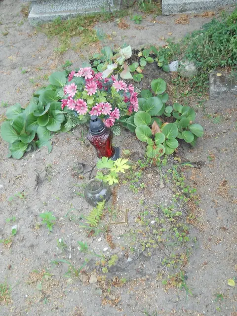Zdjęcie grobu B/25238