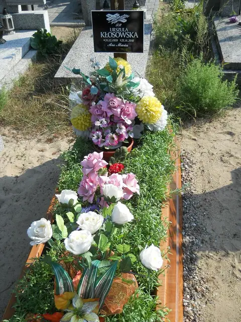Zdjęcie grobu 14/27719