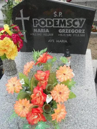 Zdjęcie grobu 44/100