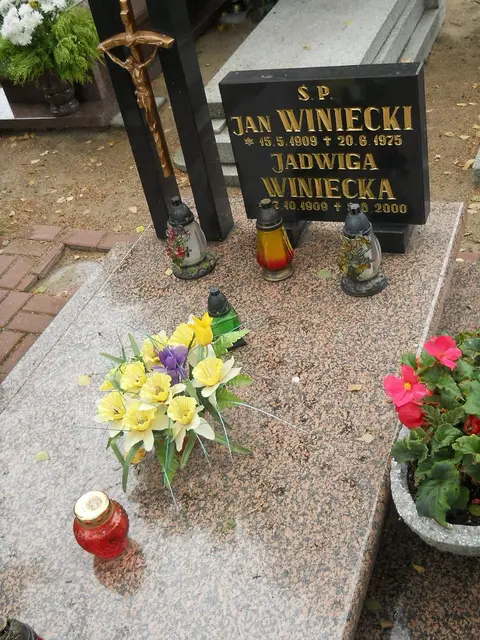 Zdjęcie grobu 16/26142