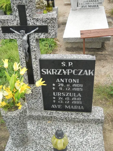 Zdjęcie grobu 26/23059