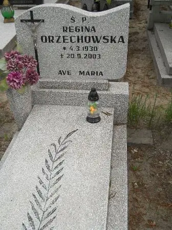 Zdjęcie grobu 23/203