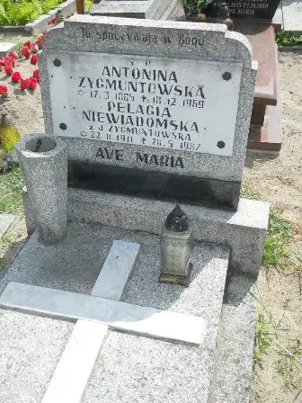 Zdjęcie grobu 25s/144
