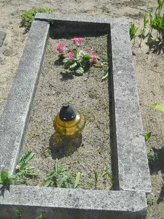 Zdjęcie grobu 28/219