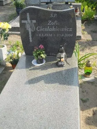 Zdjęcie grobu 42/104a