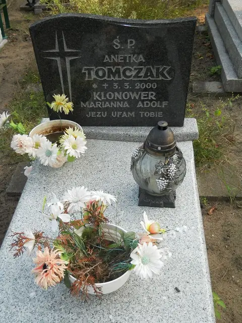 Zdjęcie grobu 15/26747