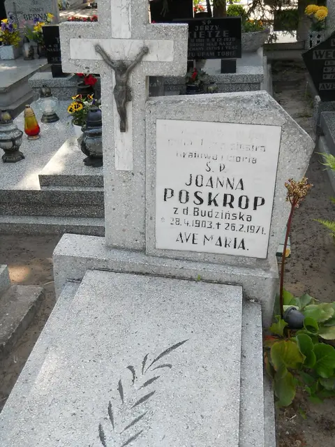 Zdjęcie grobu 8/10439