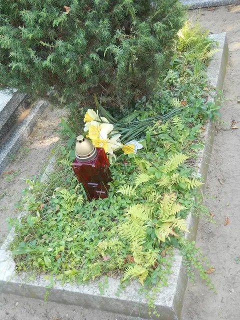 Zdjęcie grobu 14/27642
