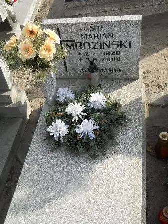 Zdjęcie grobu 15/3
