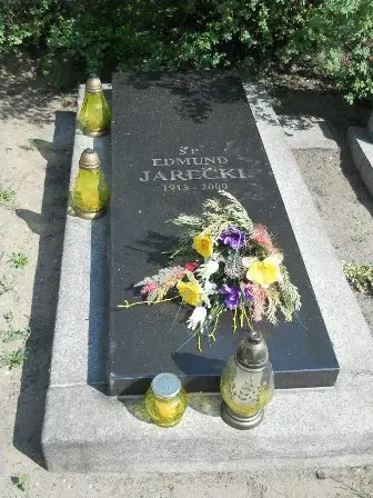 Zdjęcie grobu Krzyż./148