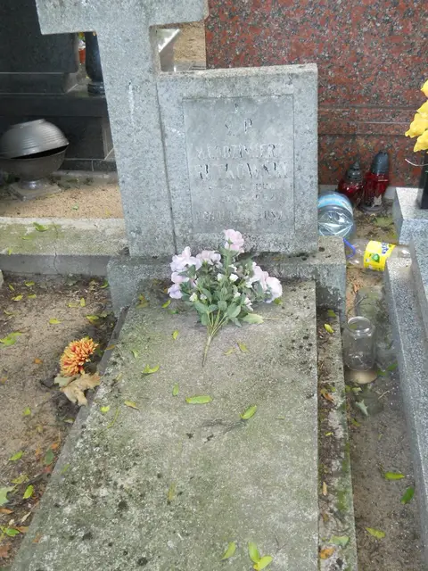Zdjęcie grobu 13/29573