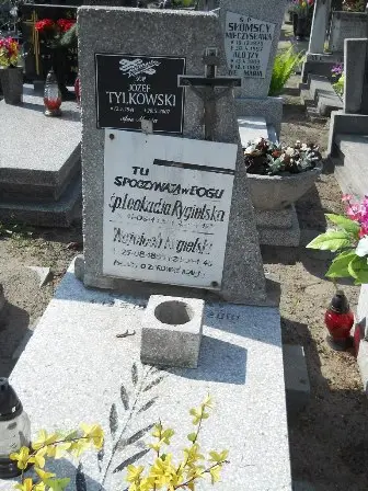 Zdjęcie grobu 24/100