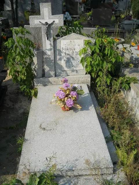 Zdjęcie grobu 18/28651