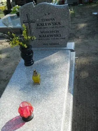 Zdjęcie grobu 29/61