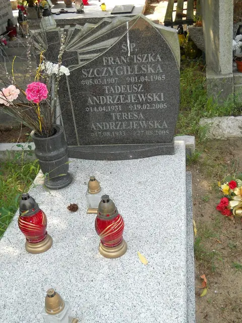 Zdjęcie grobu 17/28494