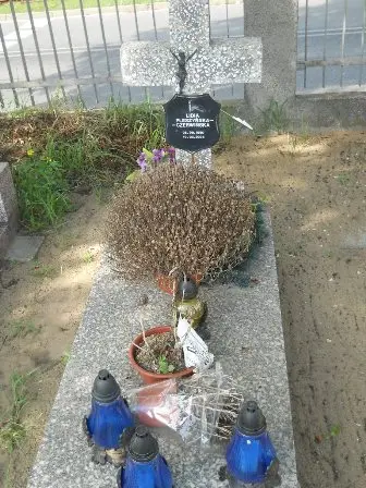 Zdjęcie grobu P/29