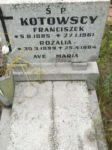 Zdjęcie grobu 24/23305