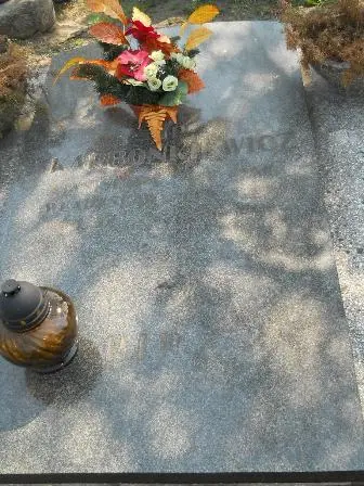 Zdjęcie grobu 29/100