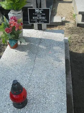 Zdjęcie grobu 20/265