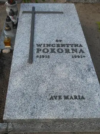 Zdjęcie grobu F/336a