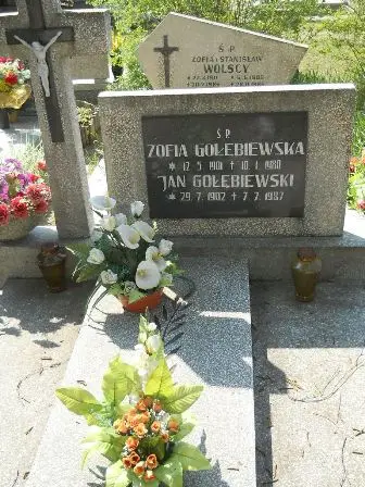Zdjęcie grobu 30/100