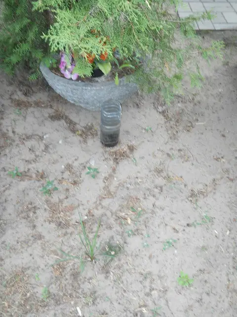 Zdjęcie grobu 7/11177